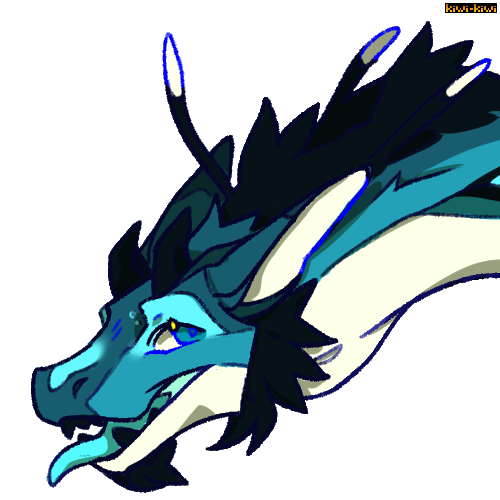 By Kiwi-Kiwi